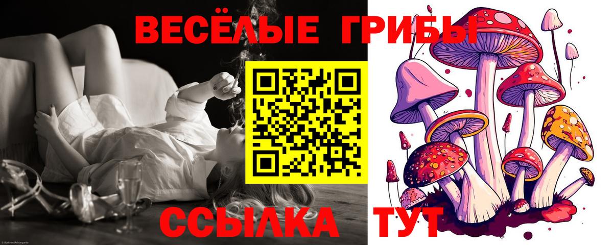 Красный Сулин  Псилоцибиновые грибы Cubensis  Вход с VPN 